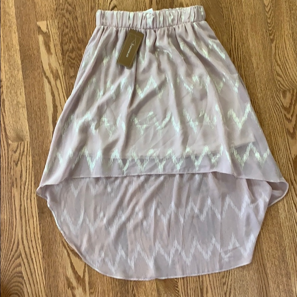 Francesca’s High Low Skirt